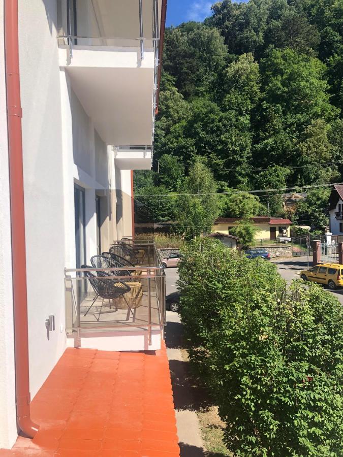 Sub Cetate Hotel Risnov Bagian luar foto